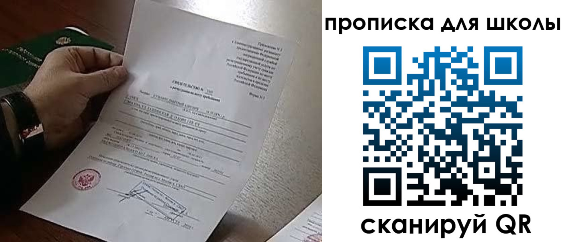 прописка ребенка в Владимирской области